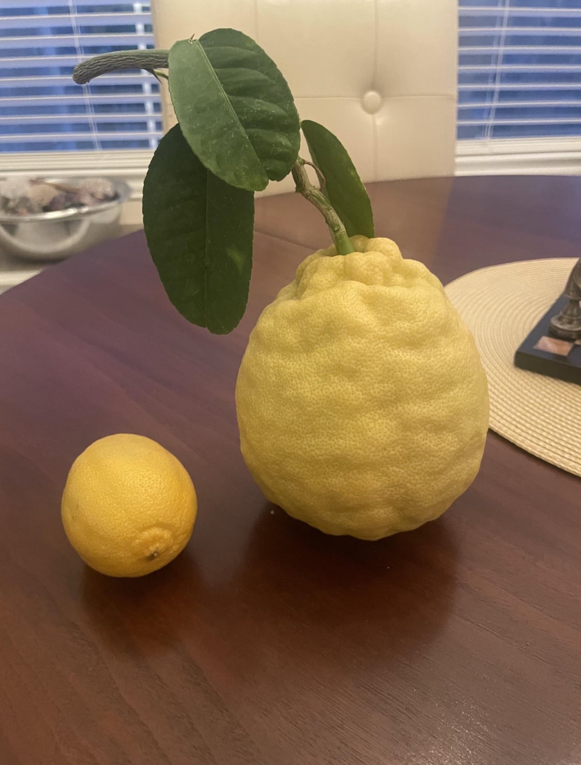 Exciting Developments on Aperture Labs' Fragmentation Lemon Grenades