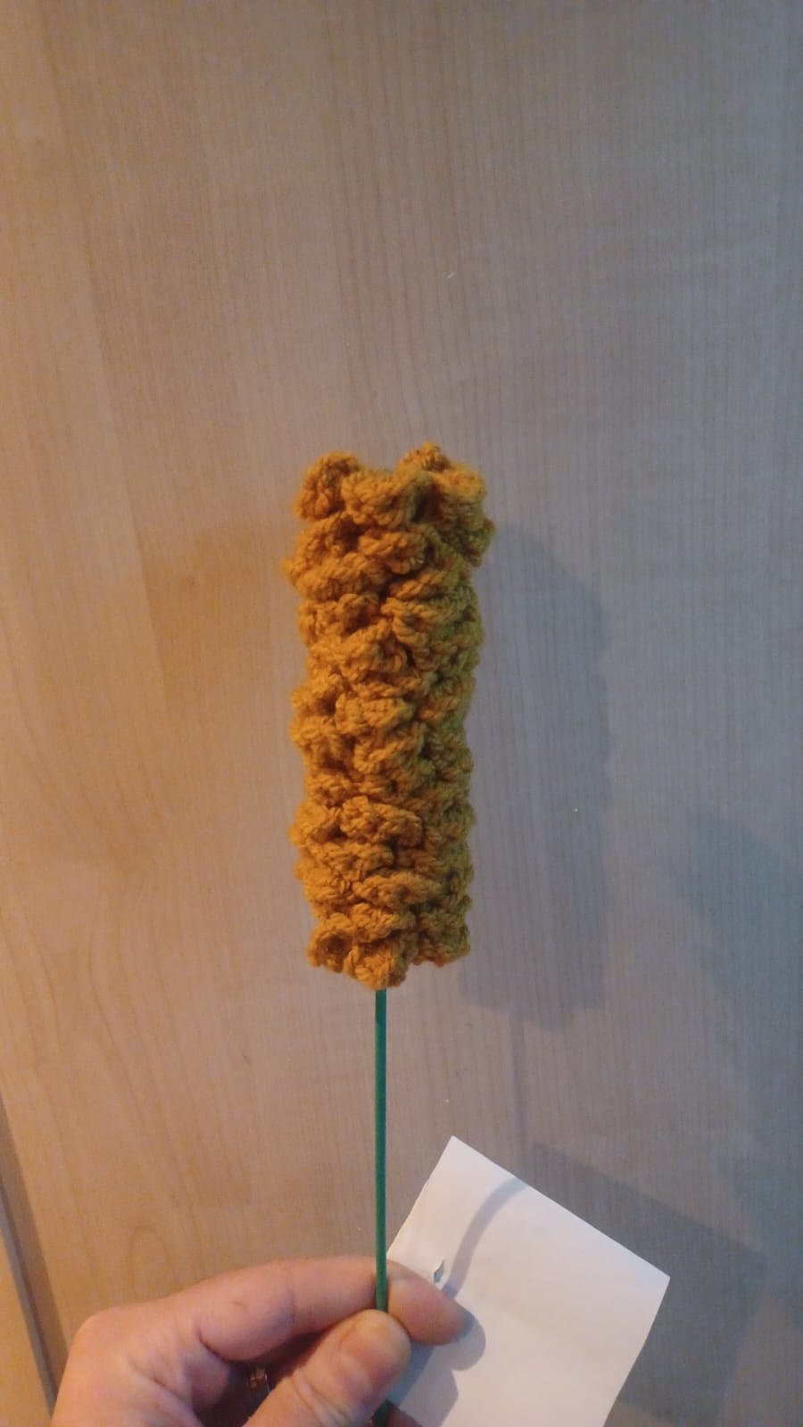 My Teacher Friend Received This Knitted Mystery from a Student - Can You Guess What It Is?