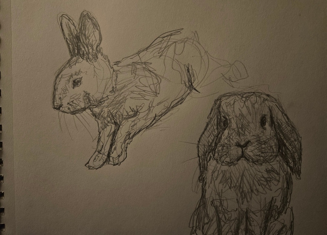 Bunny Sketches in a Flash