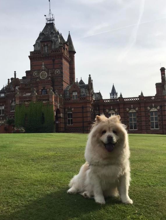 My all-time favorite getaway: The Elvetham Hotel