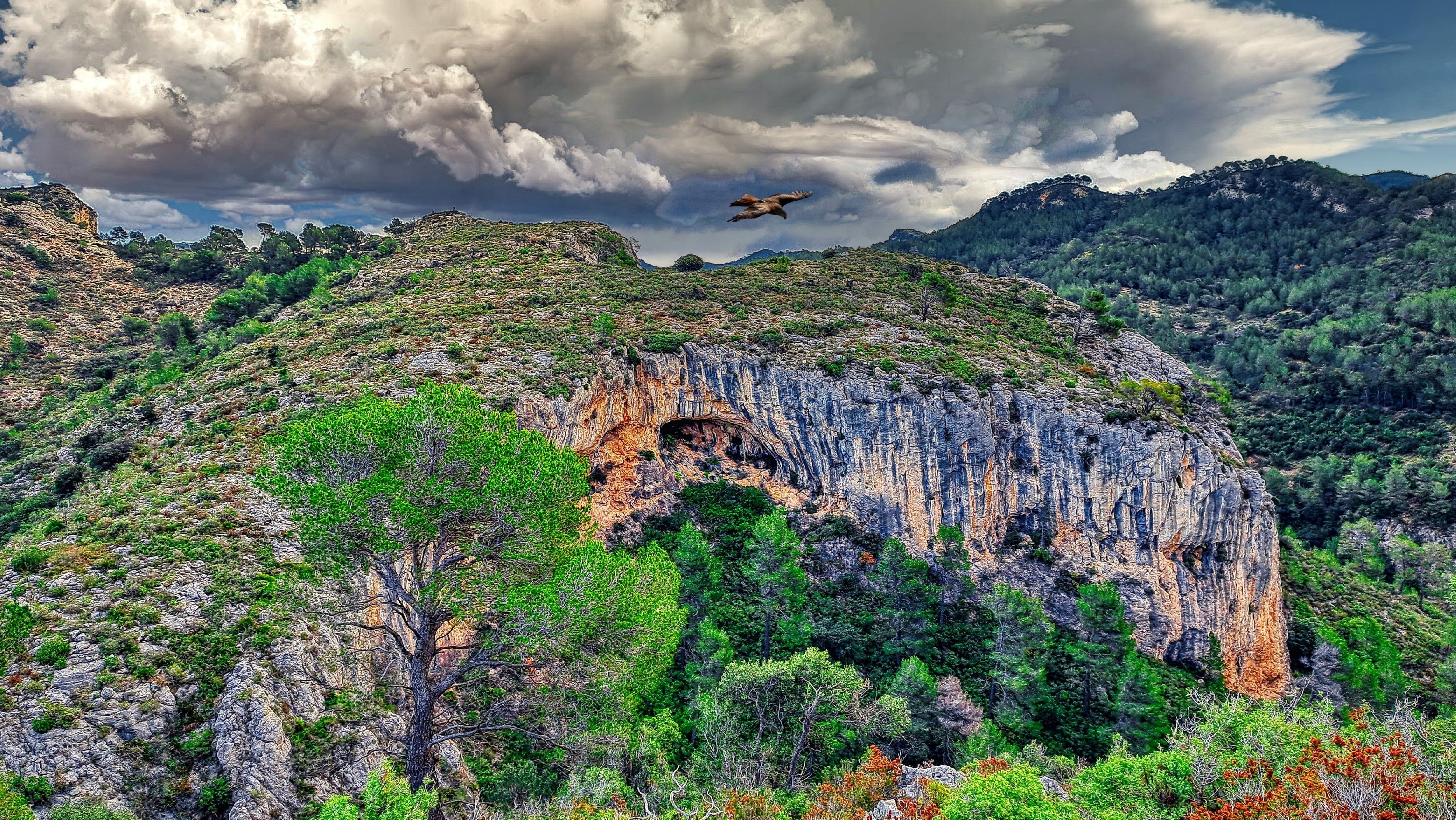 Discovering GavadÃÂ in Barranc Fondo, Baix Camp - A Hidden Gem