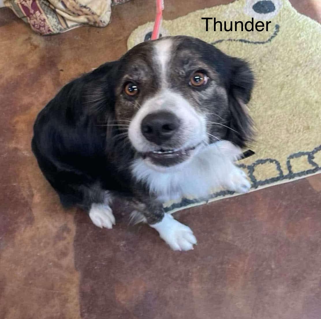 The sound of thunder rolling in