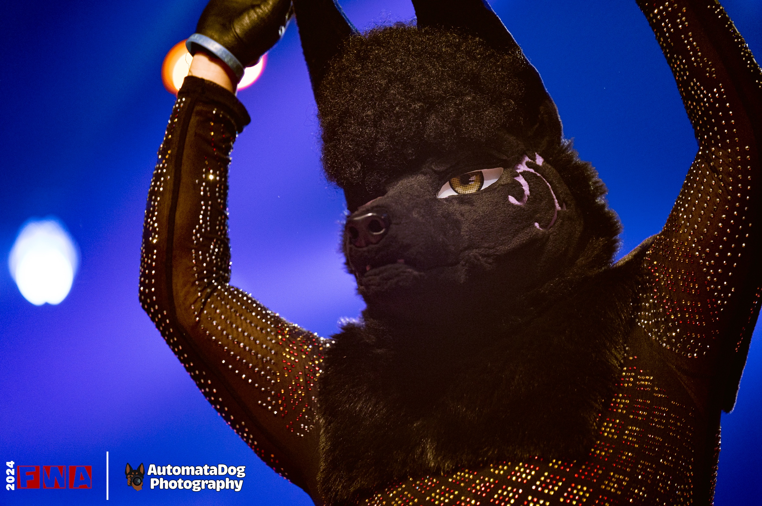 A daily snapshot from a furry photographer - Day 405!
