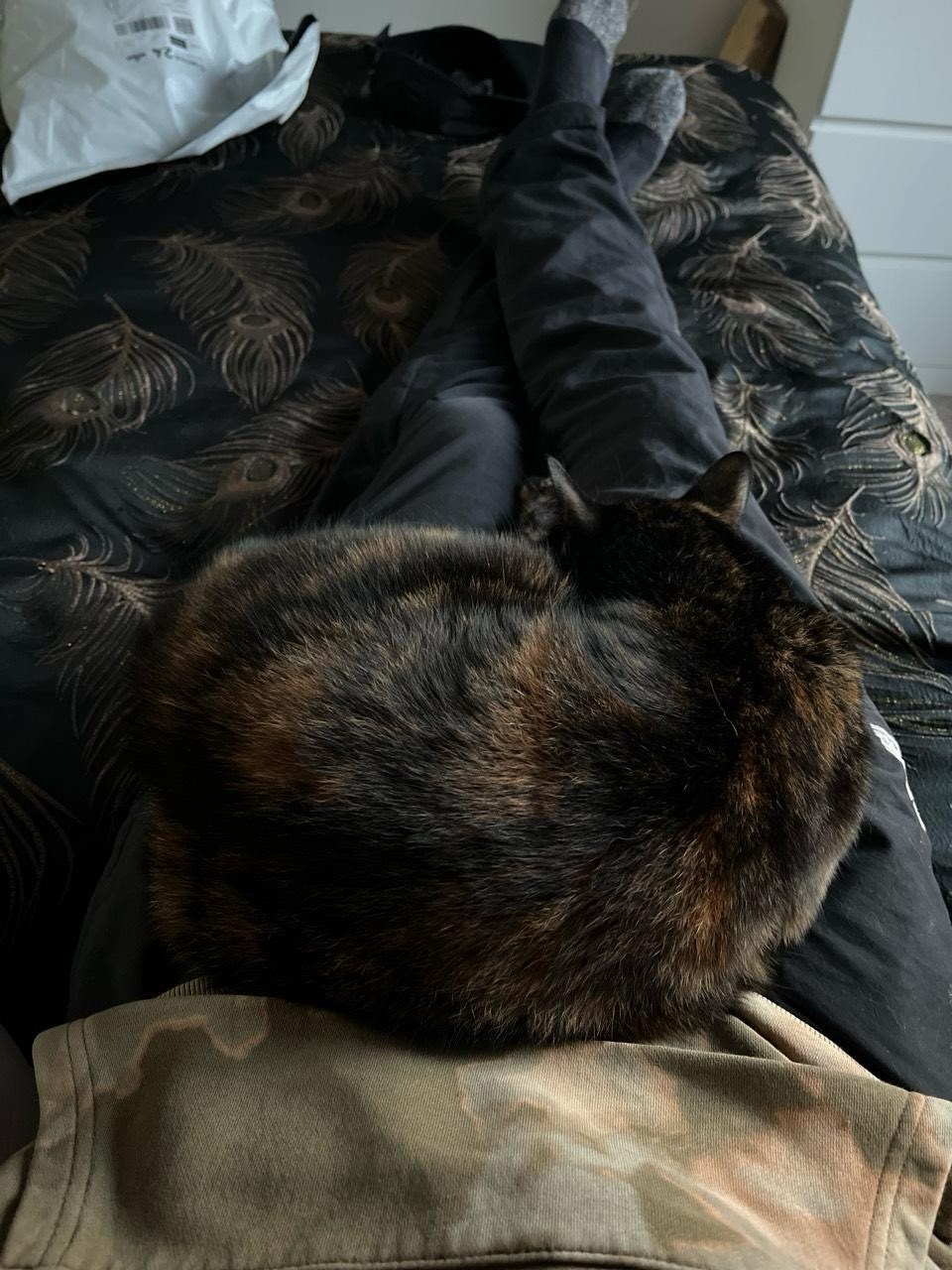 When You've Got Tasks to Tackle but Can't Bear to Move the Baby