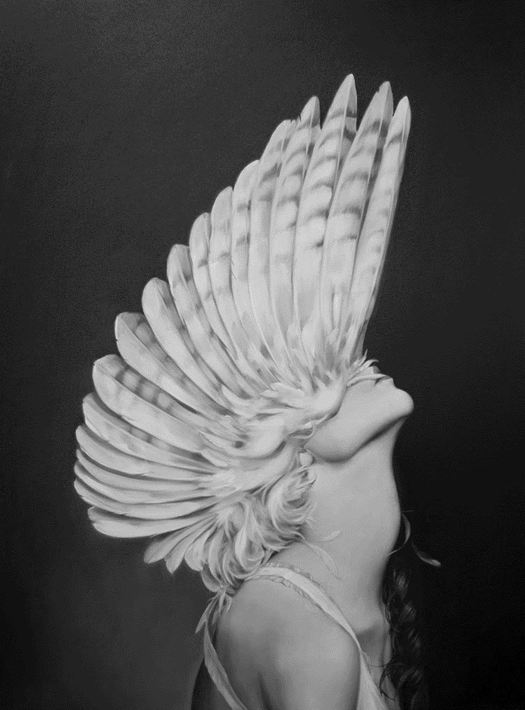 Exploring PAPERWHITE Portraits: Chapter One