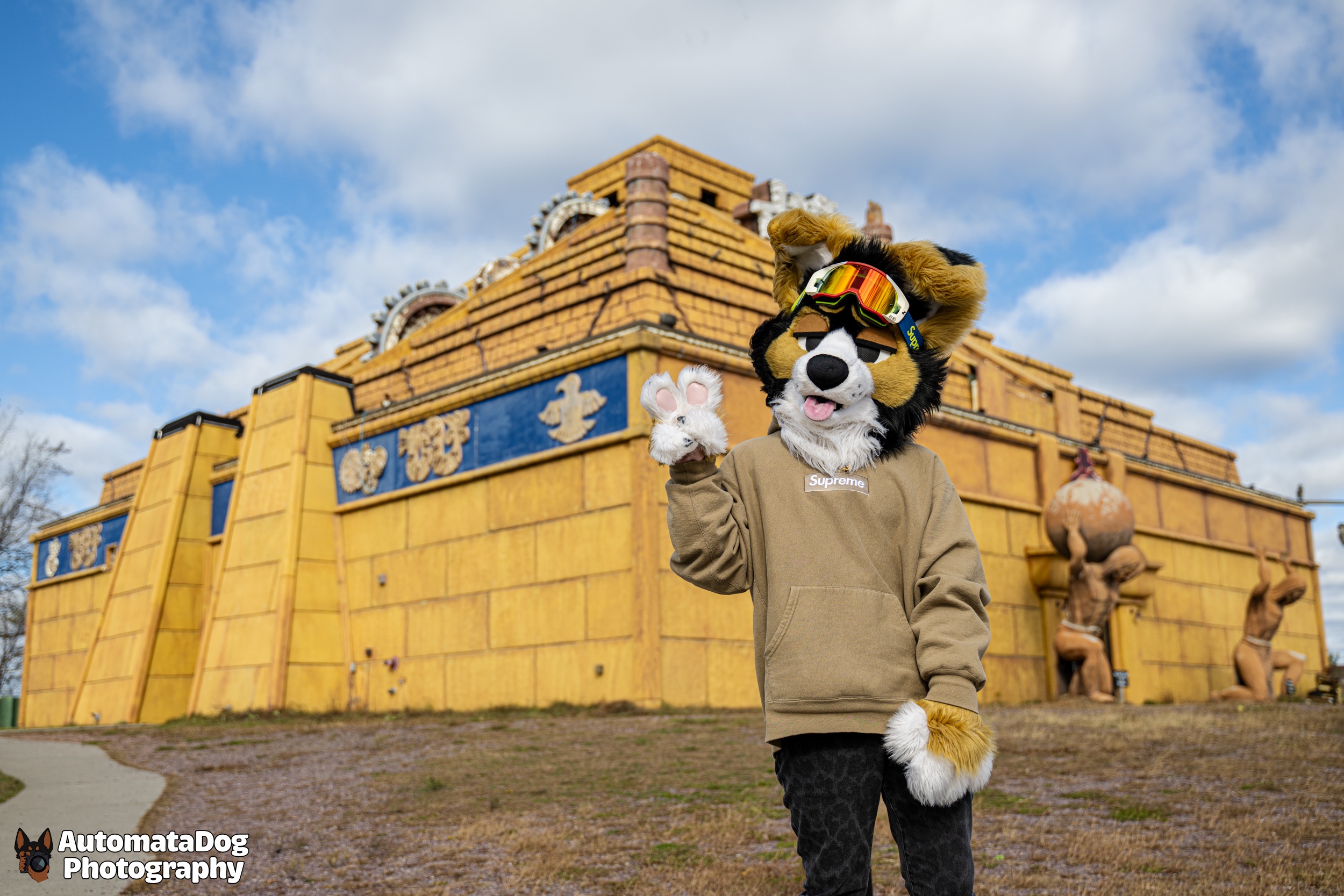 A Daily Snapshot from a Furry Photographer - Day 437