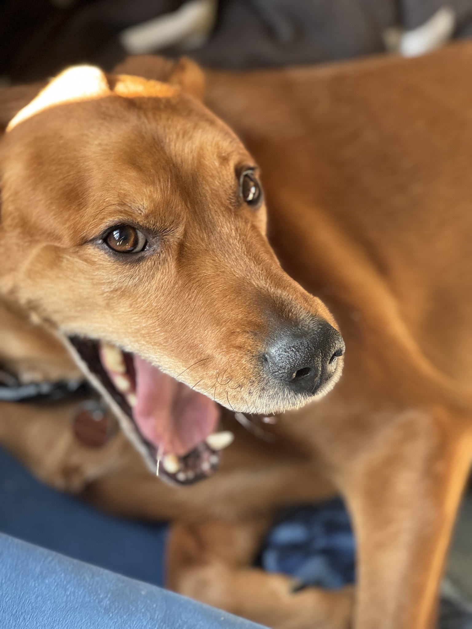 He's got that perfect photogenic charm!