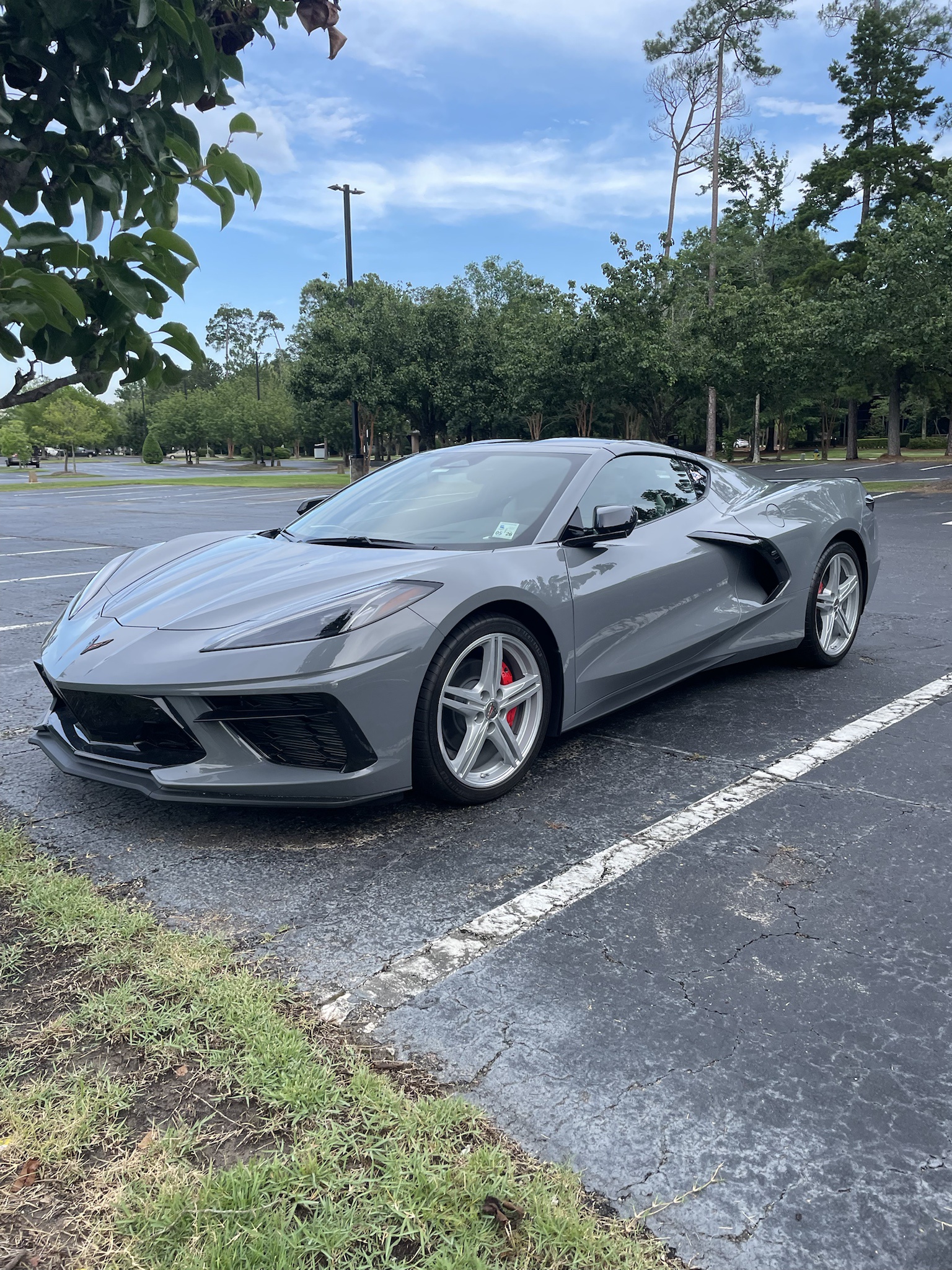 The Sleek and Powerful C8 Stingray