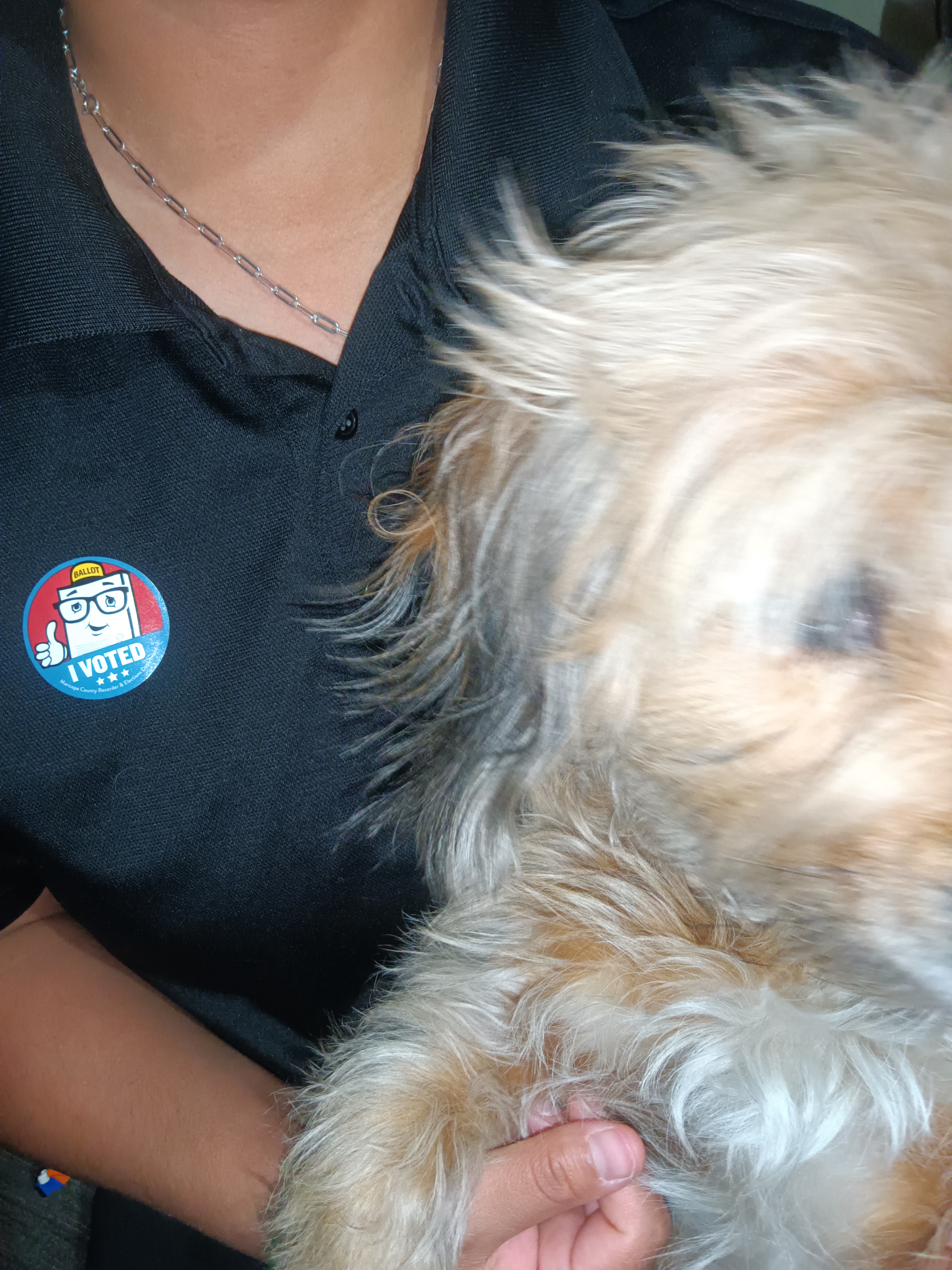 One of My Kids Made a Difference Too: Please Vote!