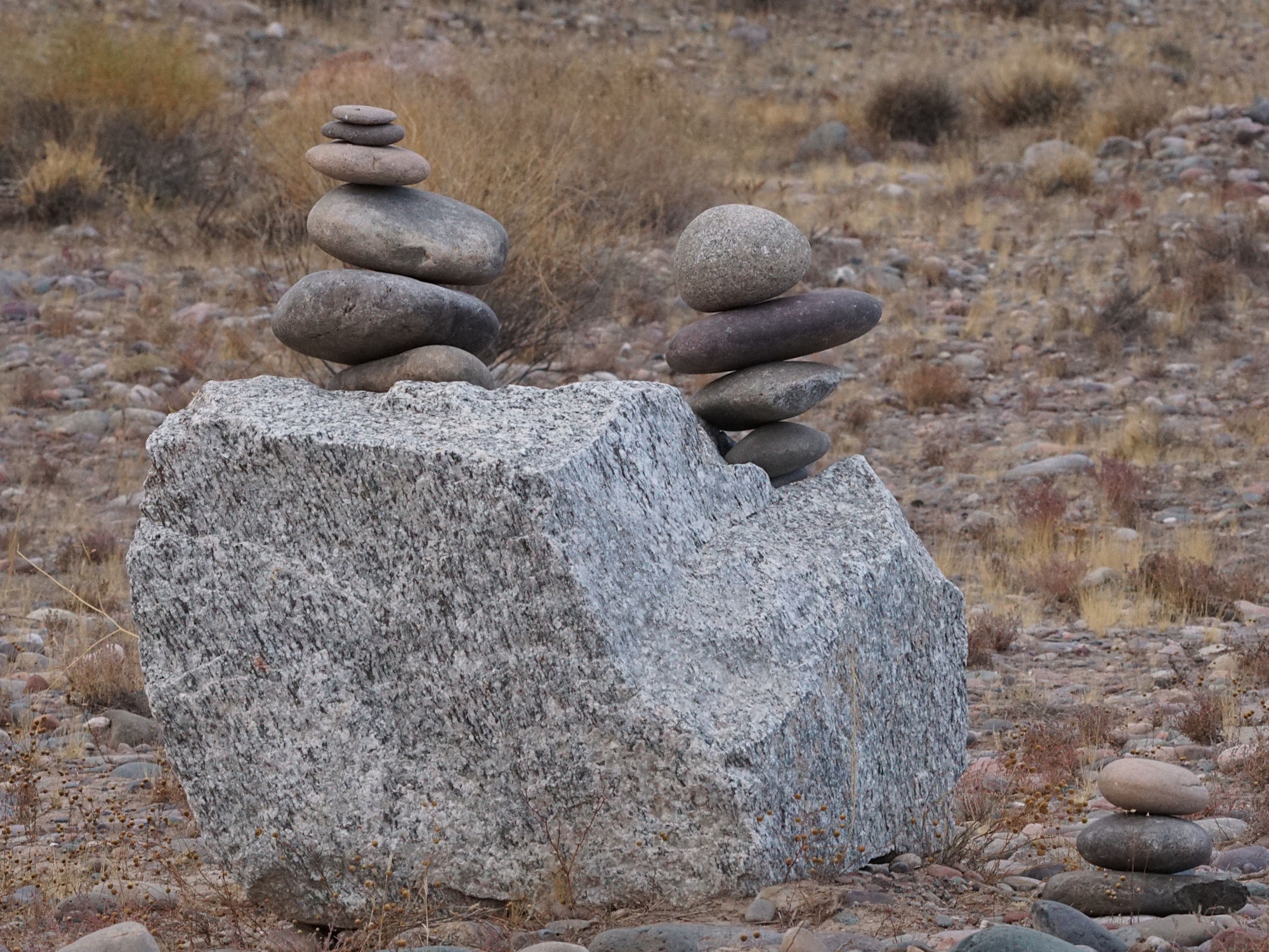 Exploring the Beauty of Rio Salado