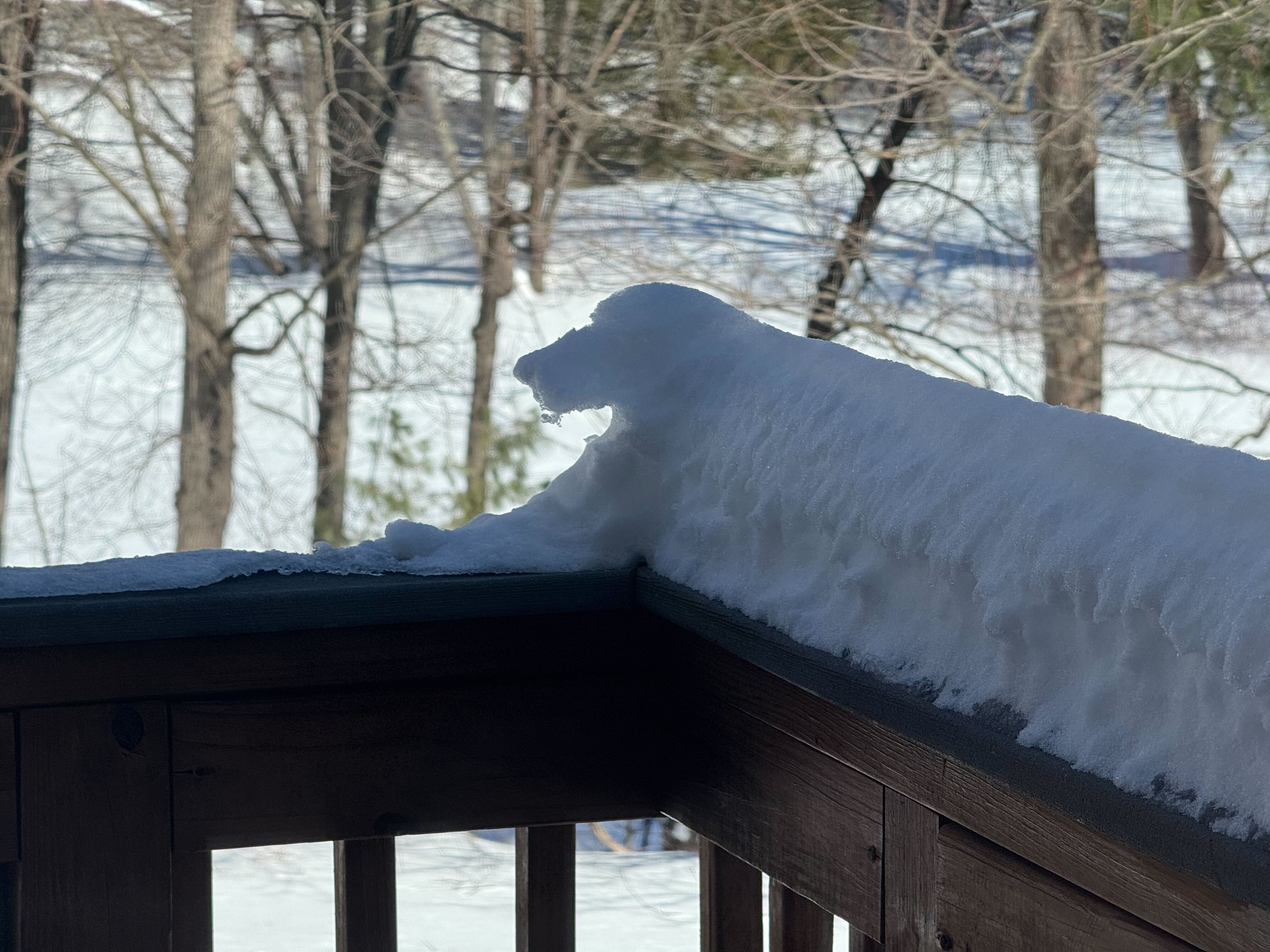 Winter's Touch: Snow Gently Blanketing the Railing