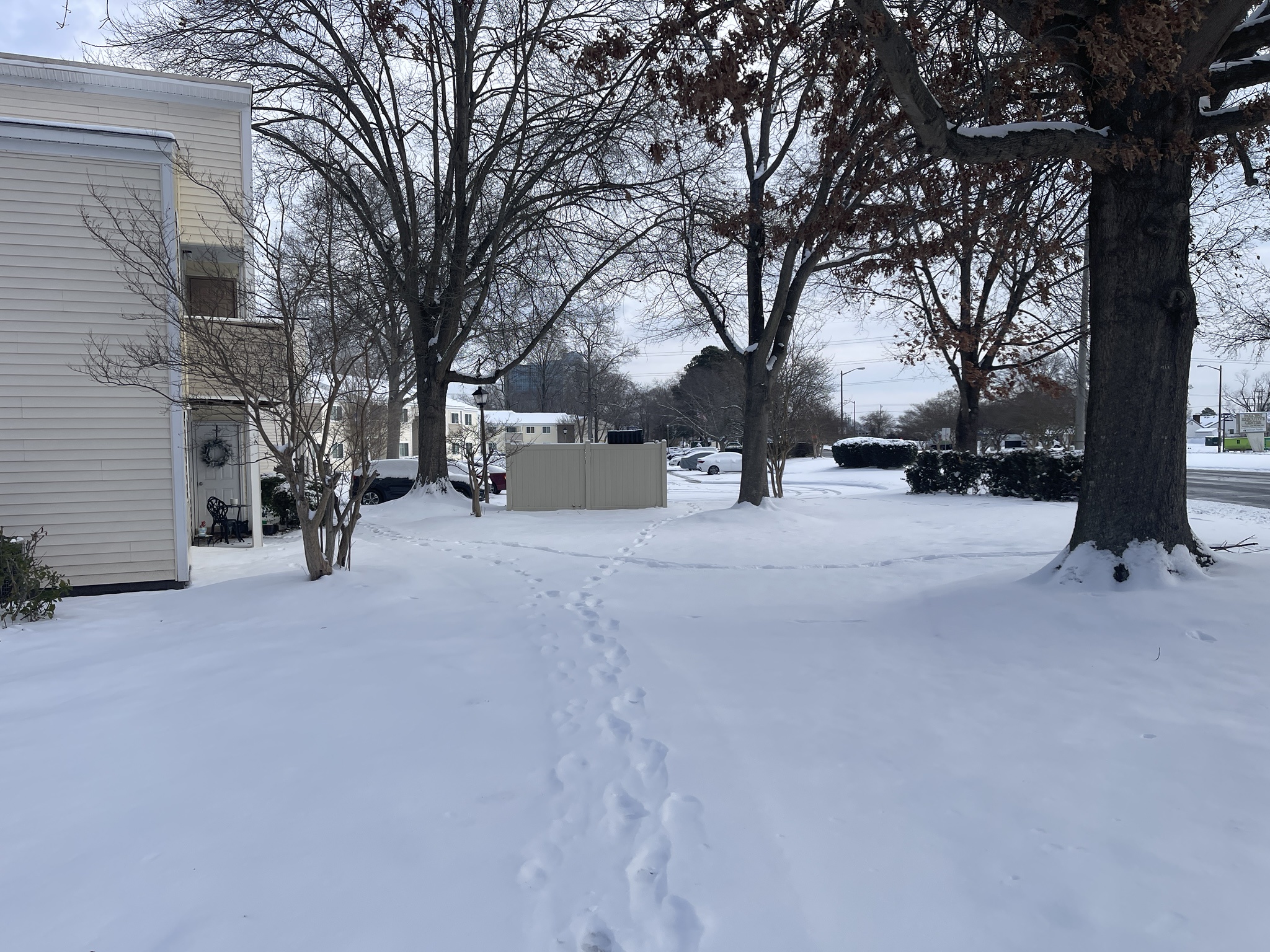 Here are some stunning photos of the snowfall in Chesapeake, VA.