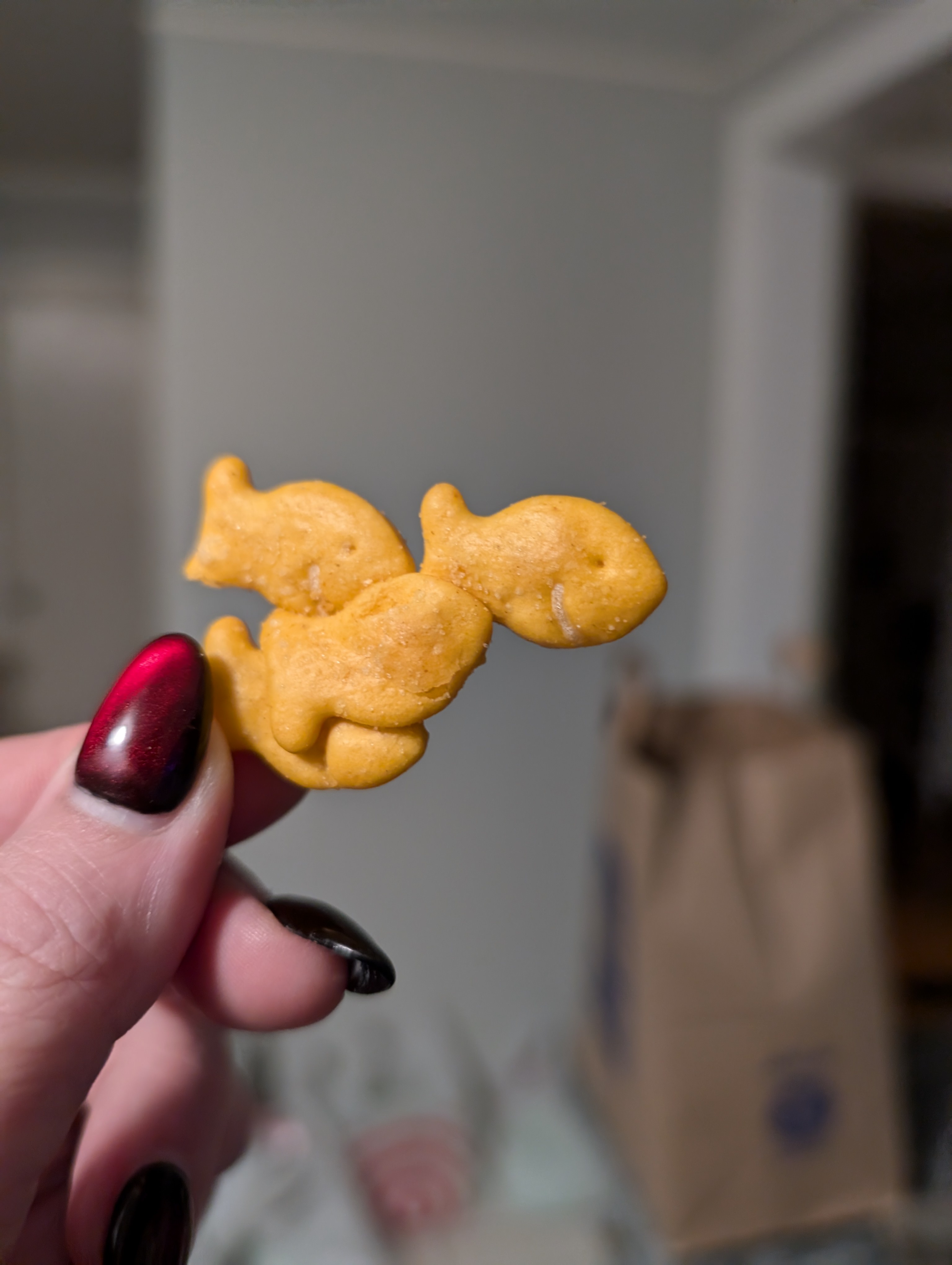 Meet the Quadruple Goldfish: A Unique Aquatic Marvel