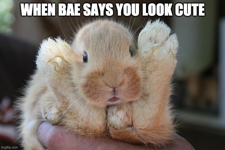I’m Adorably Cute, Aren’t I?