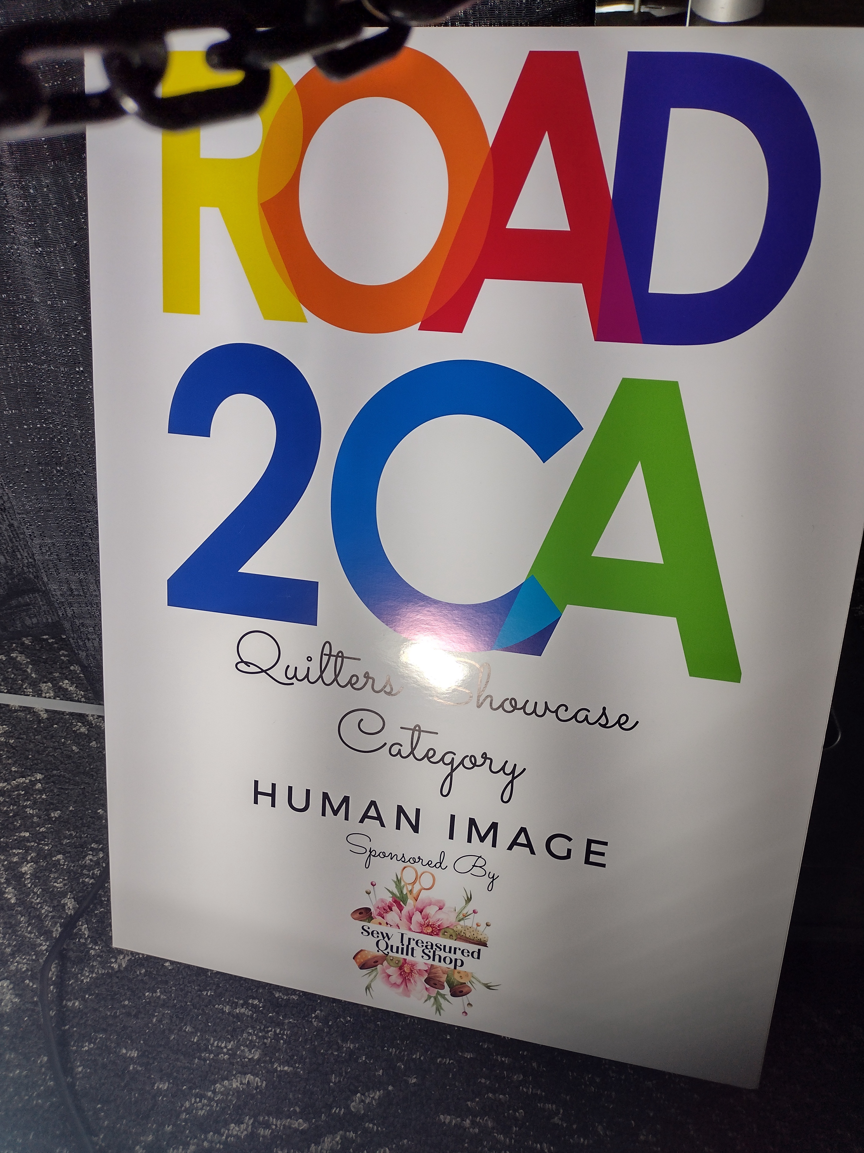 2025 Road2CA - Quilt Showcase: Human Imagery