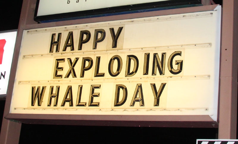 Celebrating Happy Exploding Whale Day!