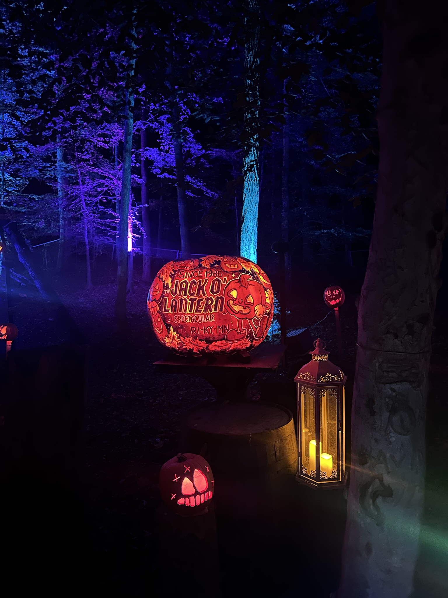 Last Night's Lantern Spectacular in Kentucky: Art to Share with You All