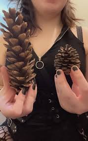Check out my pinecones right here. Just look at them!