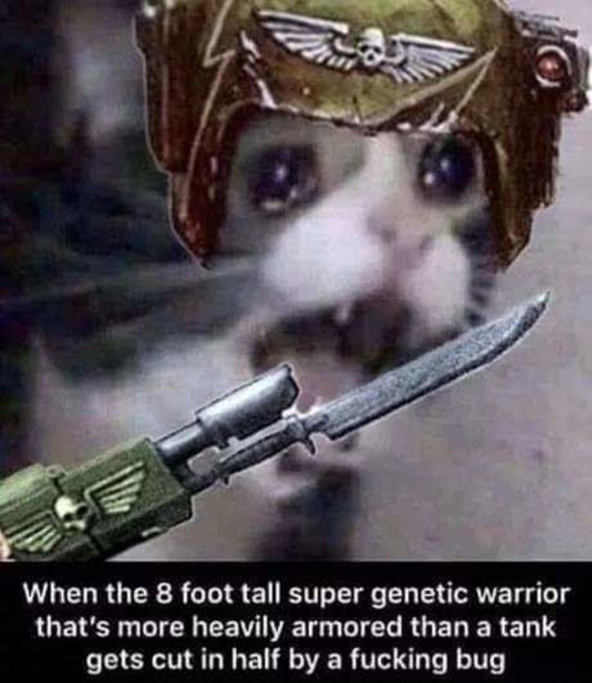 Prepare to Affix Bayonets!