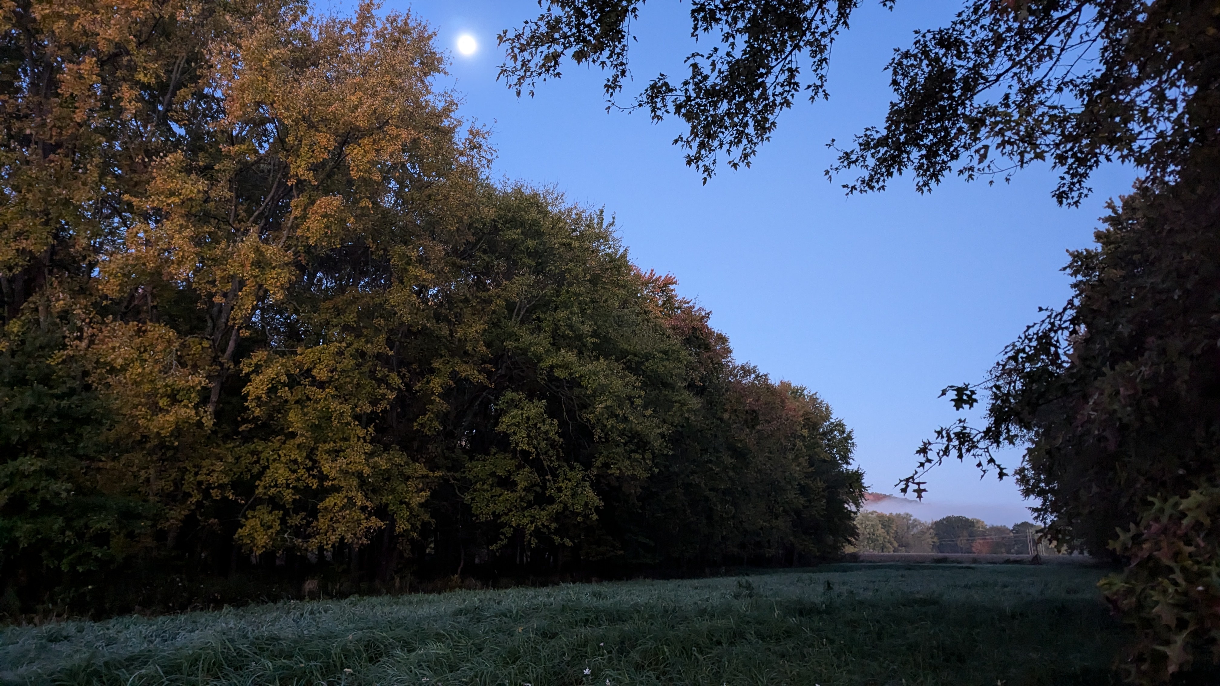 The Thrill of the October Muzzleloader Hunt
