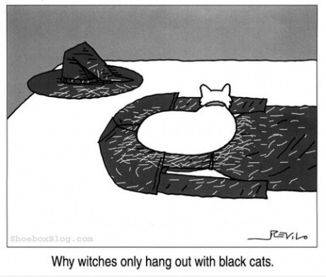 The Enchanting Bond Between Witches and Their Black Cats