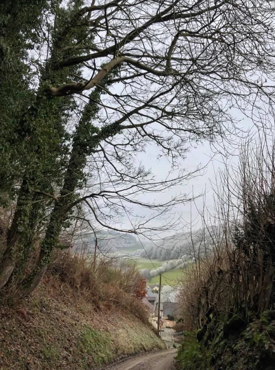 The Challenging Journey Home: A Steep Walk