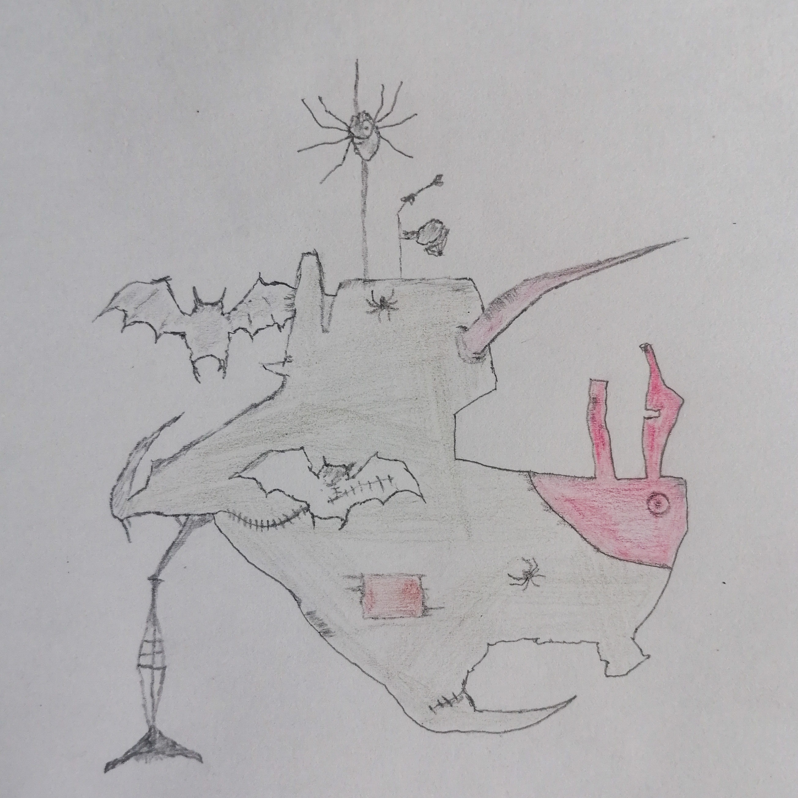 Murciélagos and Arañas: A Spooky Encounter