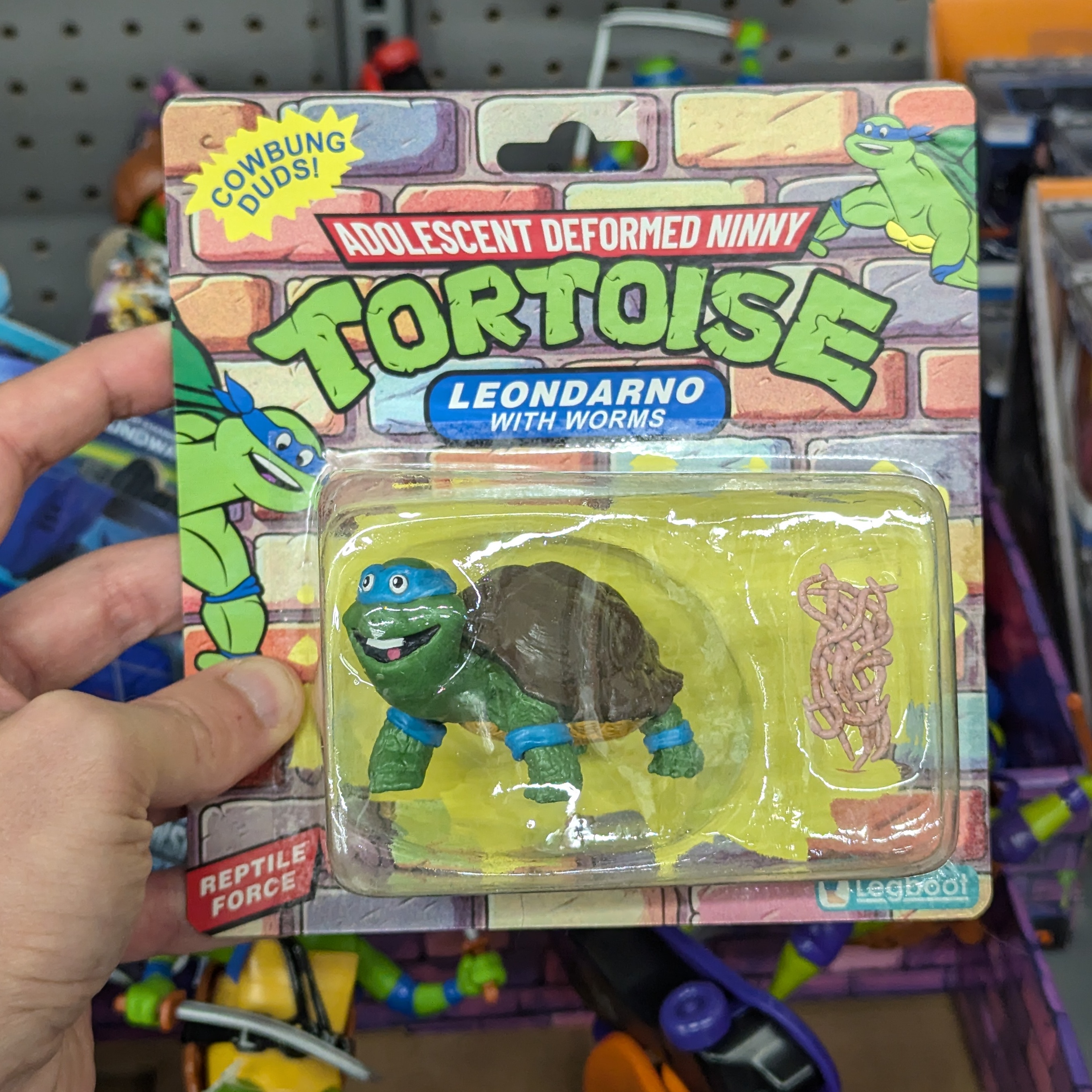 Meet the Adorably Awkward Deformed Ninny Tortoises