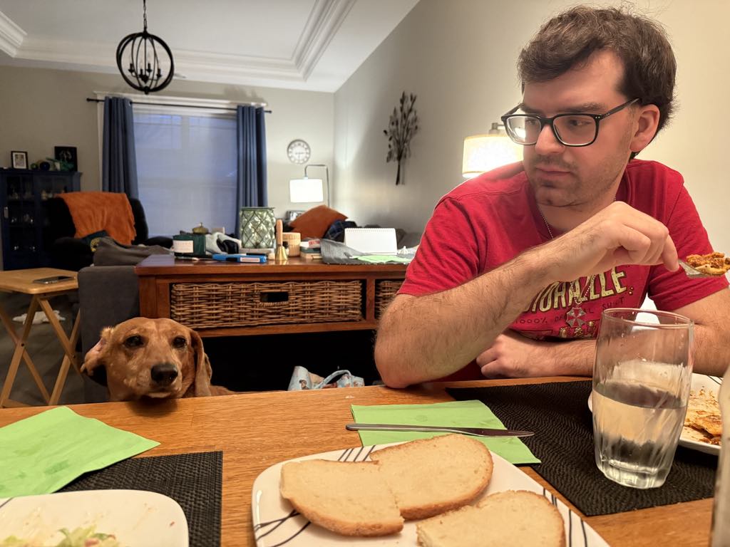 Why Dogs Are Truly the Best Companions