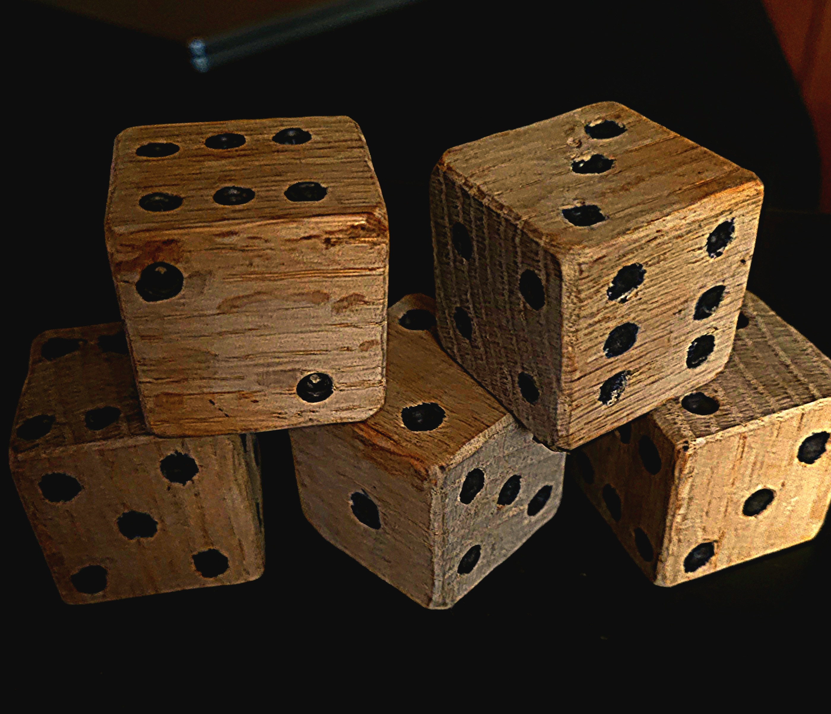 The Mysterious Woodice