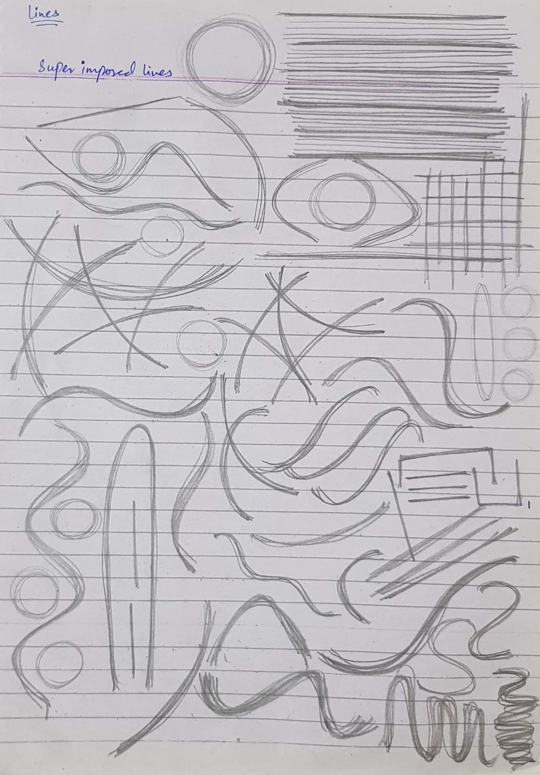 Art Fundamentals: Mastering Lines, Ellipses, and Boxes