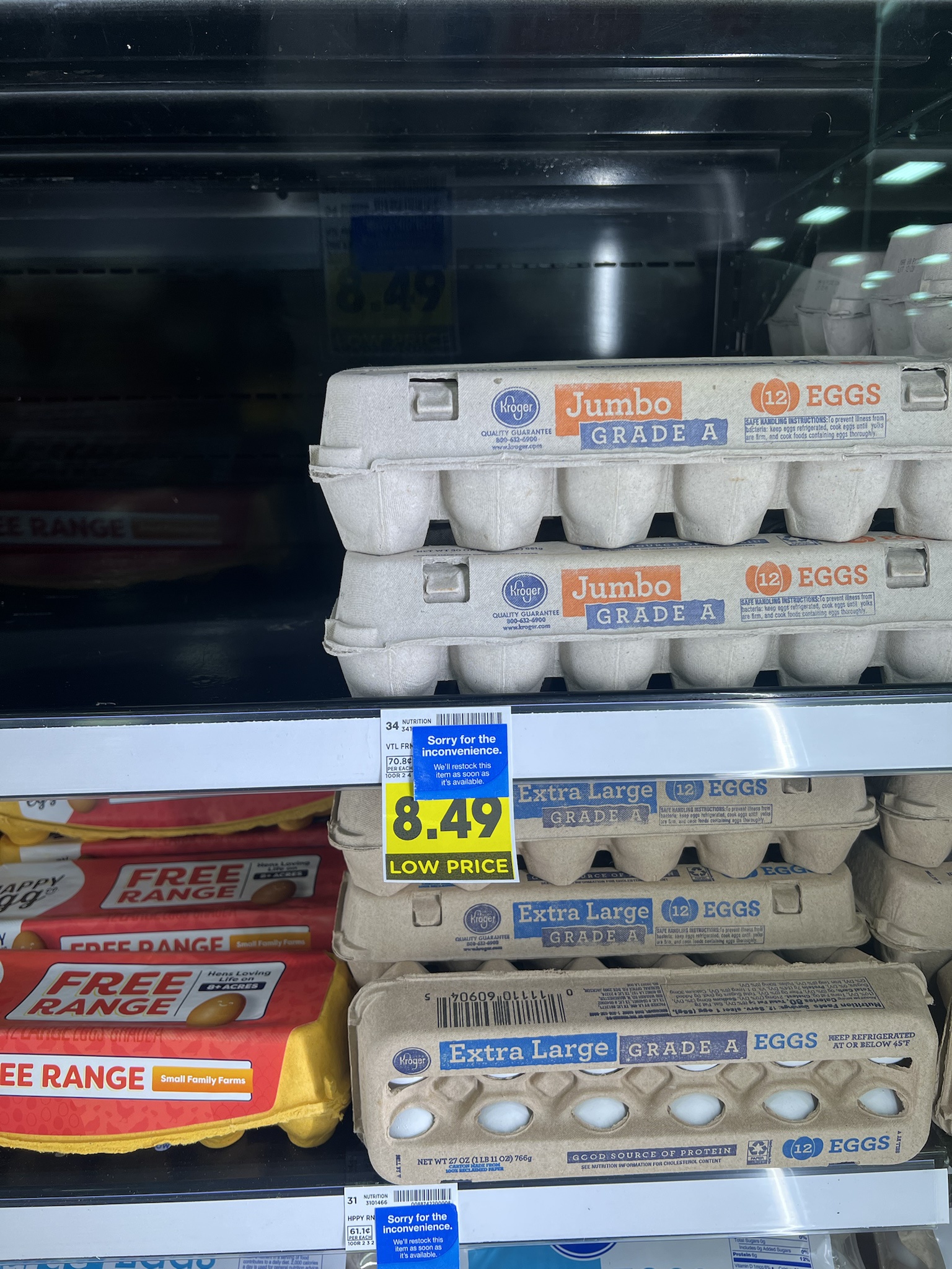 Day 1 of Lowering Egg Prices: The Revolution Begins