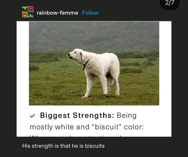 Discovering My Greatest Strengths