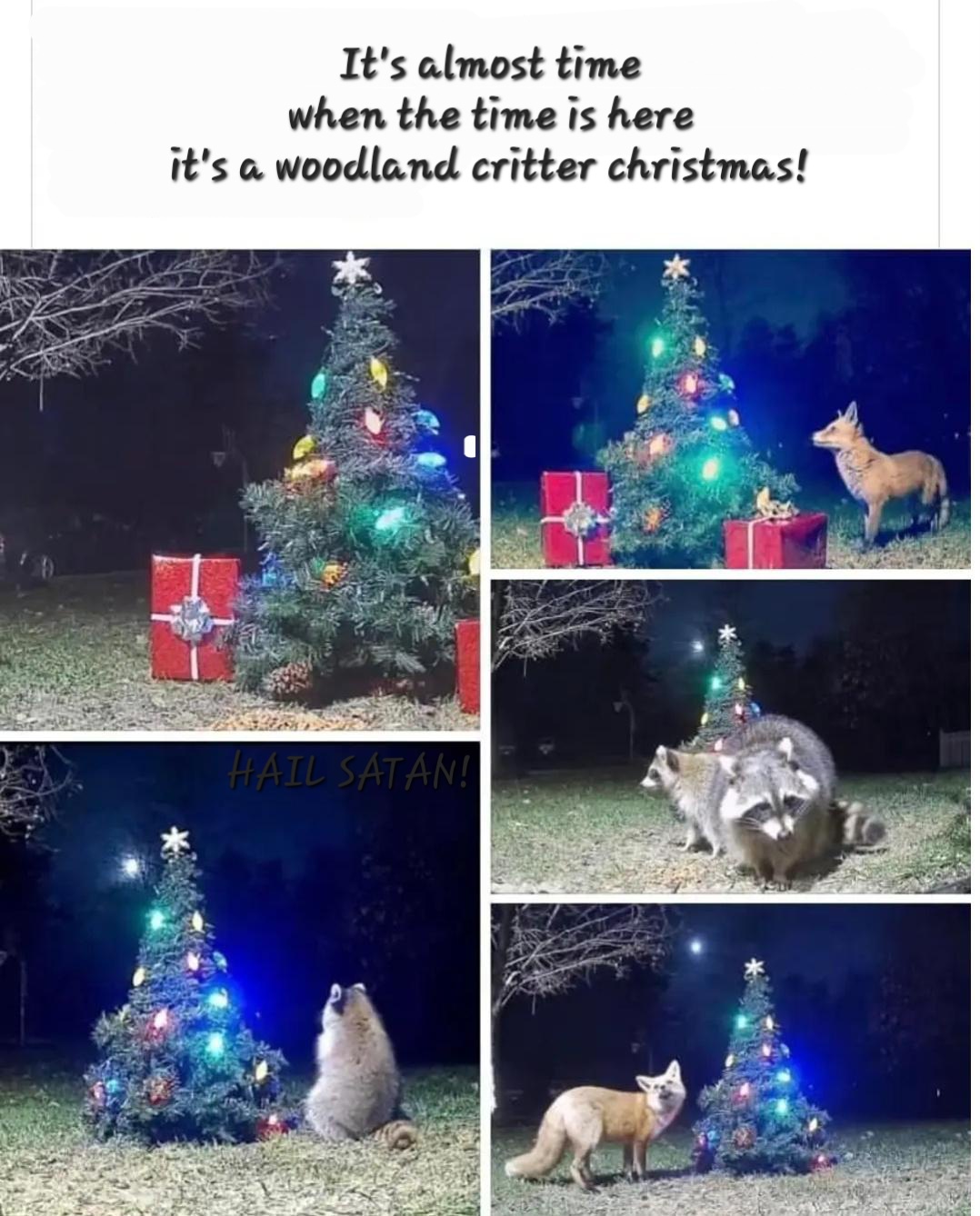 We absolutely need a manger for the holiday spirit!