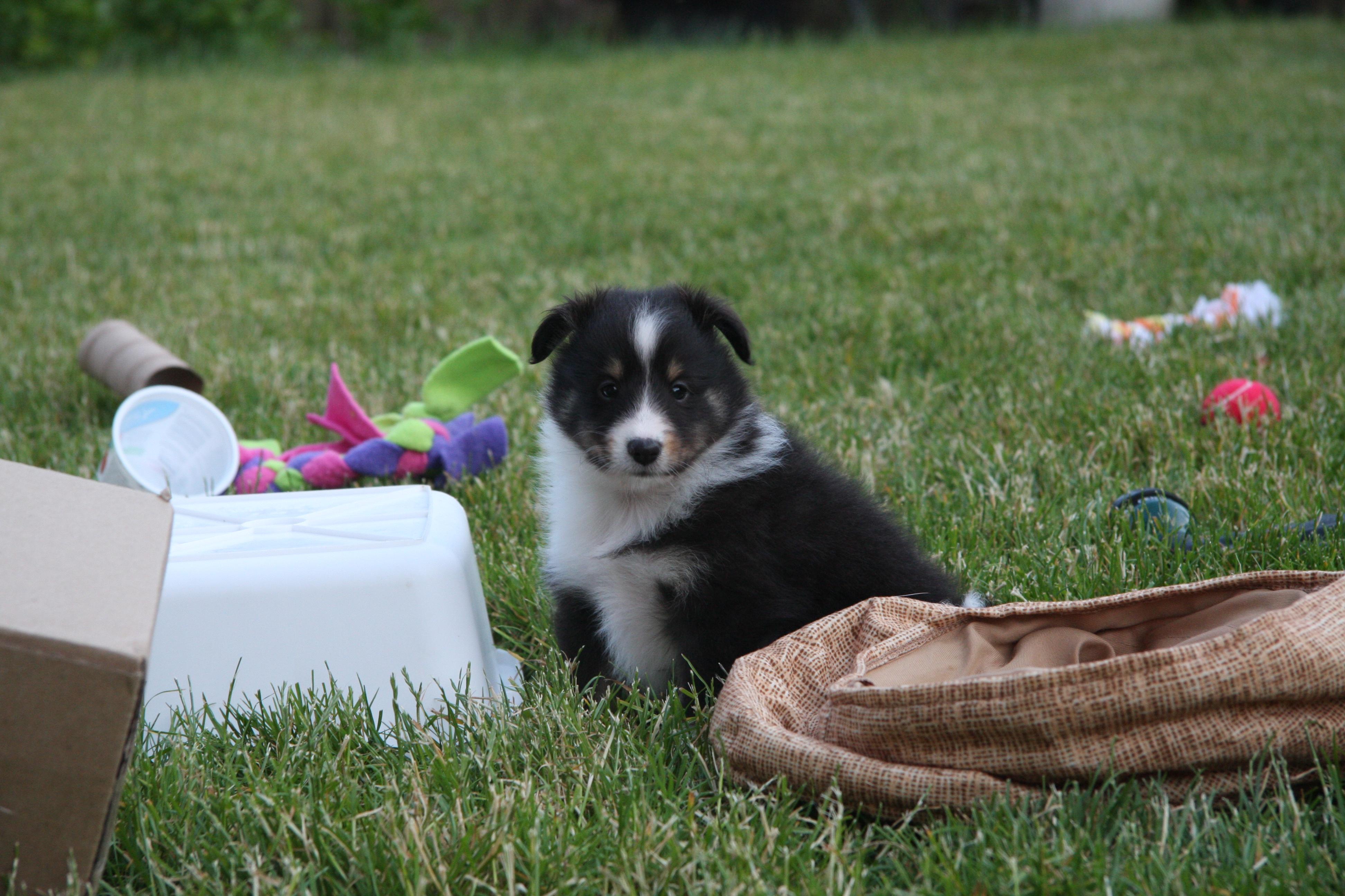 Throwback to 16 Years Ago - Missing This Little Guy So Much!