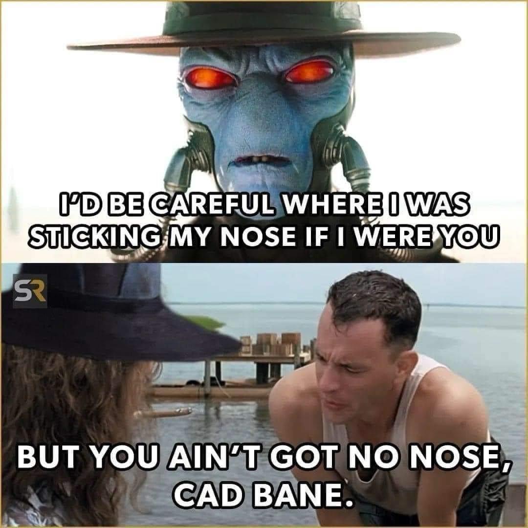 The Bounty Hunter Cad Bane in Focus