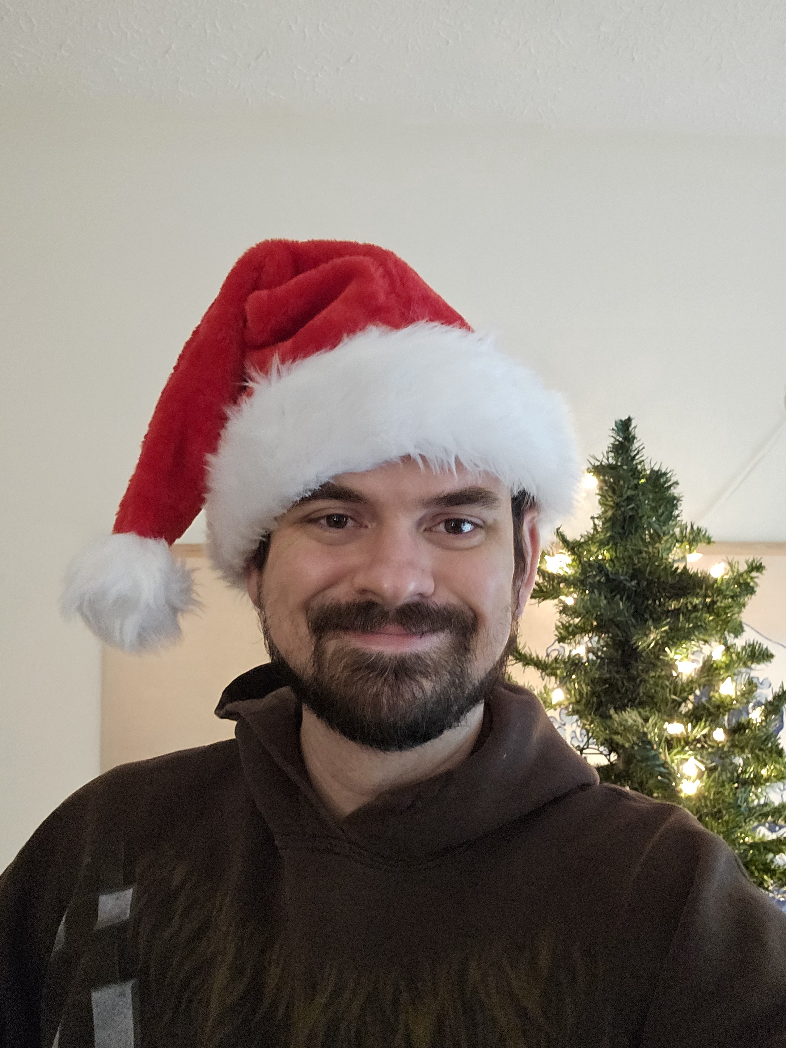 Wishing you a Merry Christmas filled with joy and cheer!