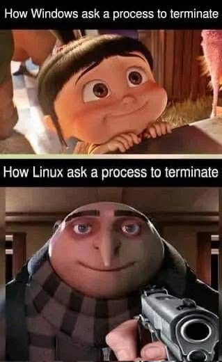 The Epic Showdown: Windows vs Linux