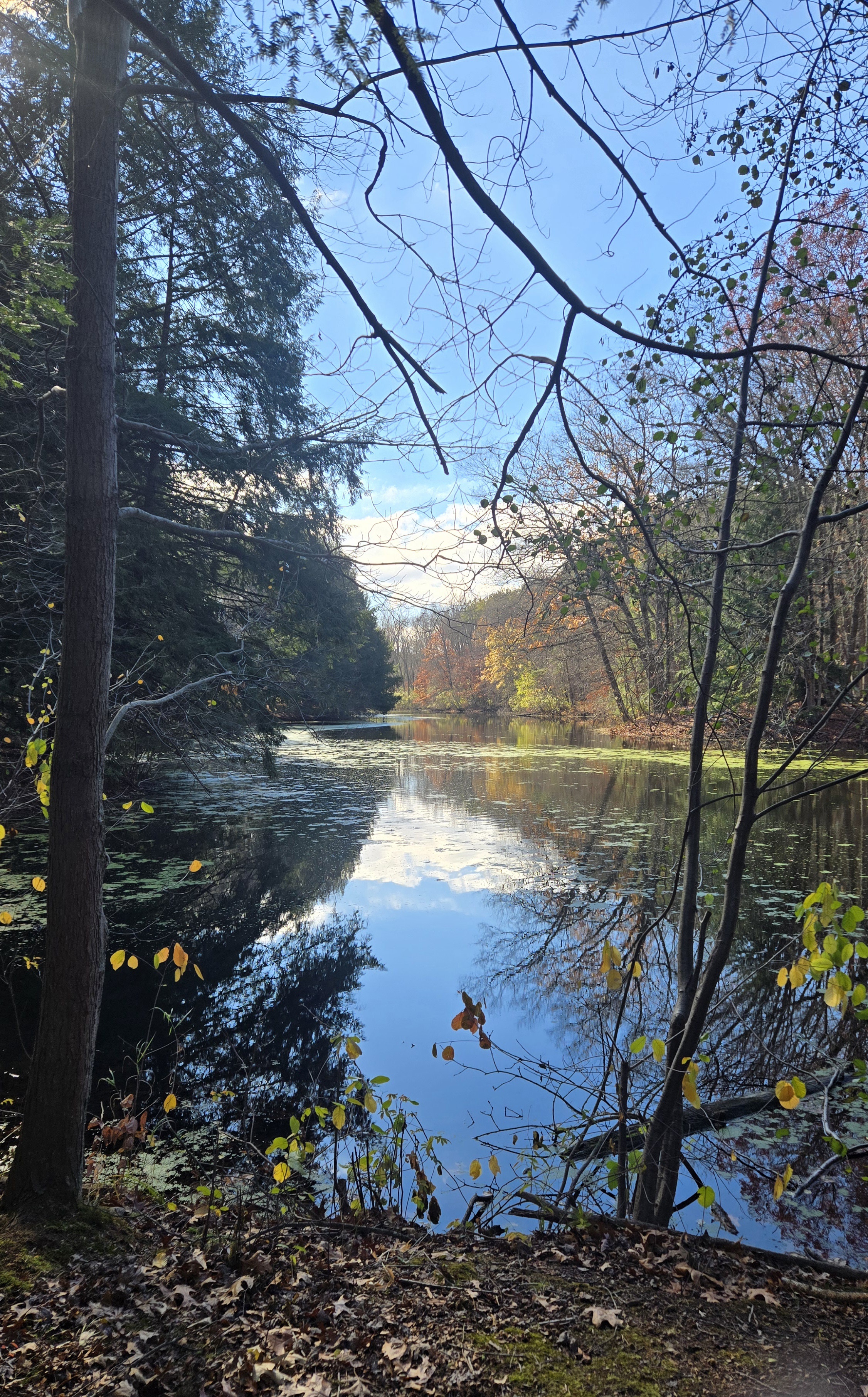 Exploring Oak Openings Metropark in Ohio