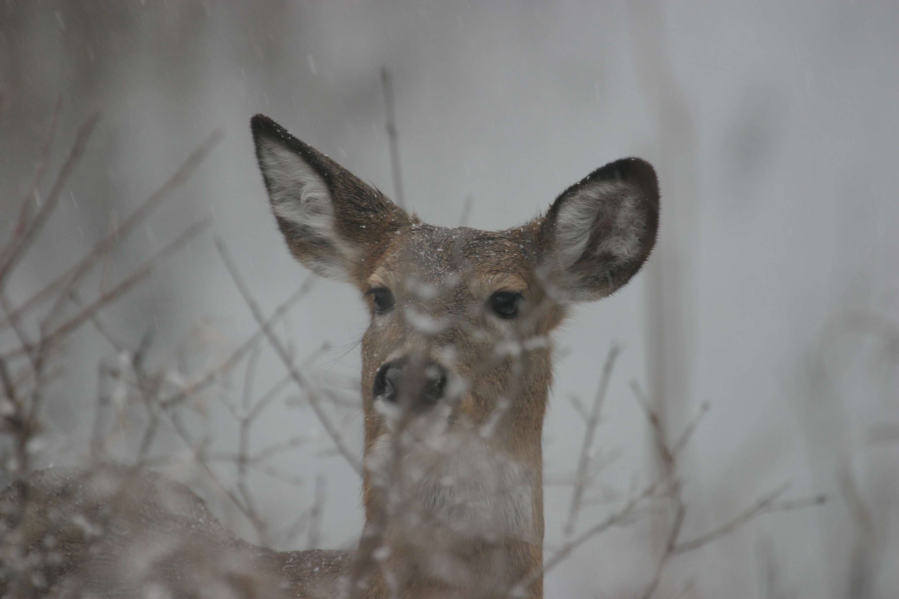 Grab Your Cocoa: Let's Reminisce About Our Nature Hikes!