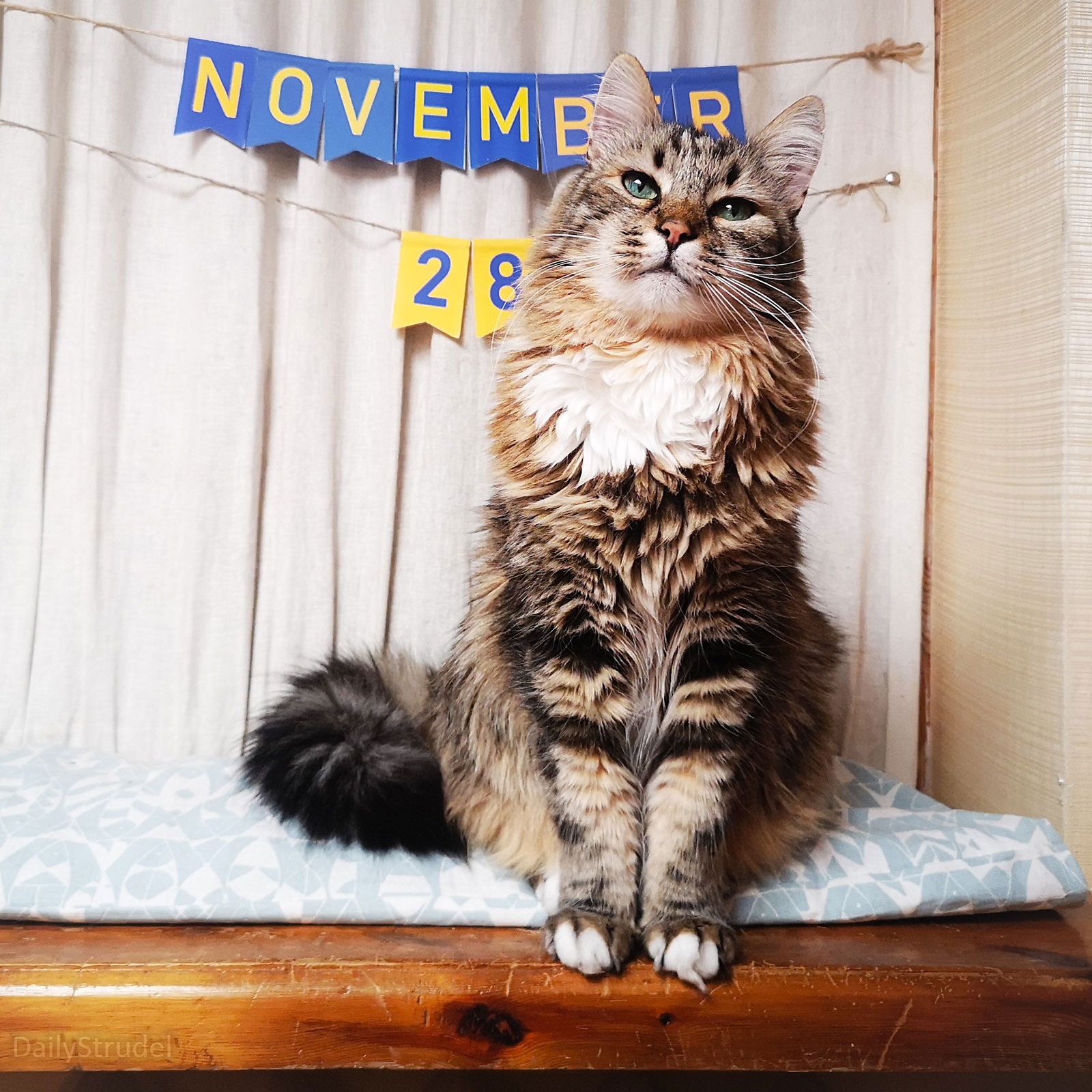 Mark Your Calendars: November 28