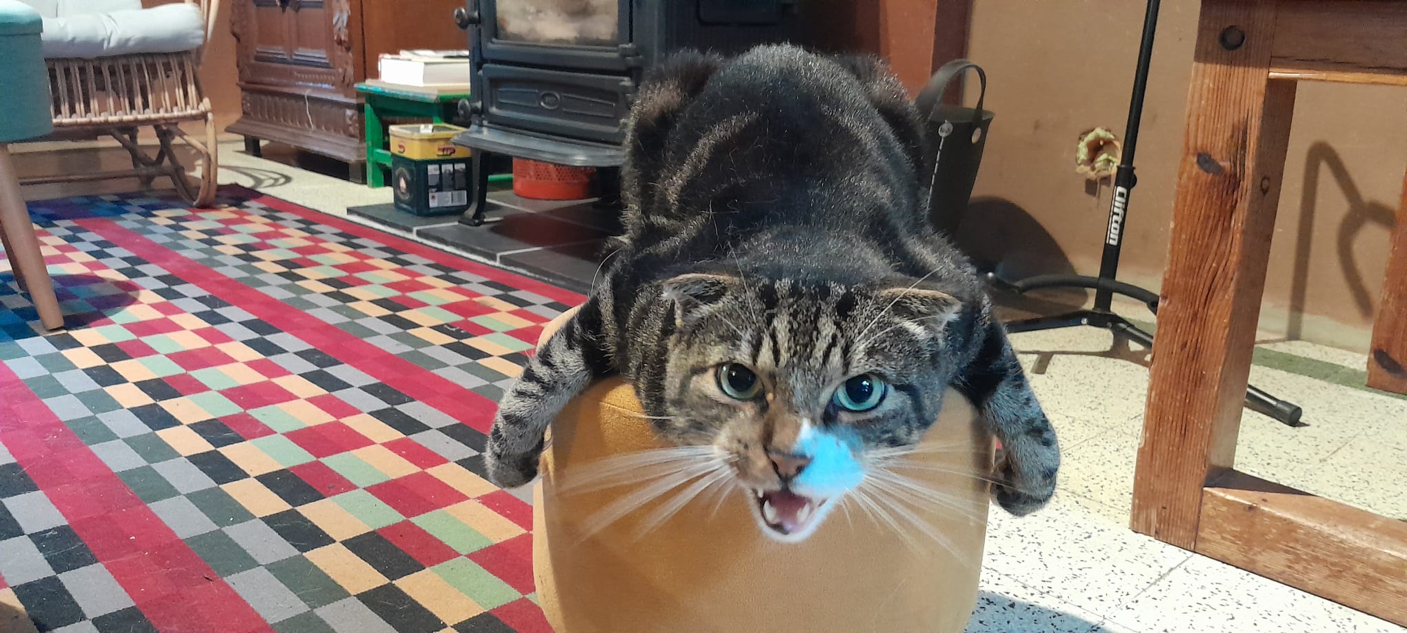 Just Chilling and Enjoying the Moment