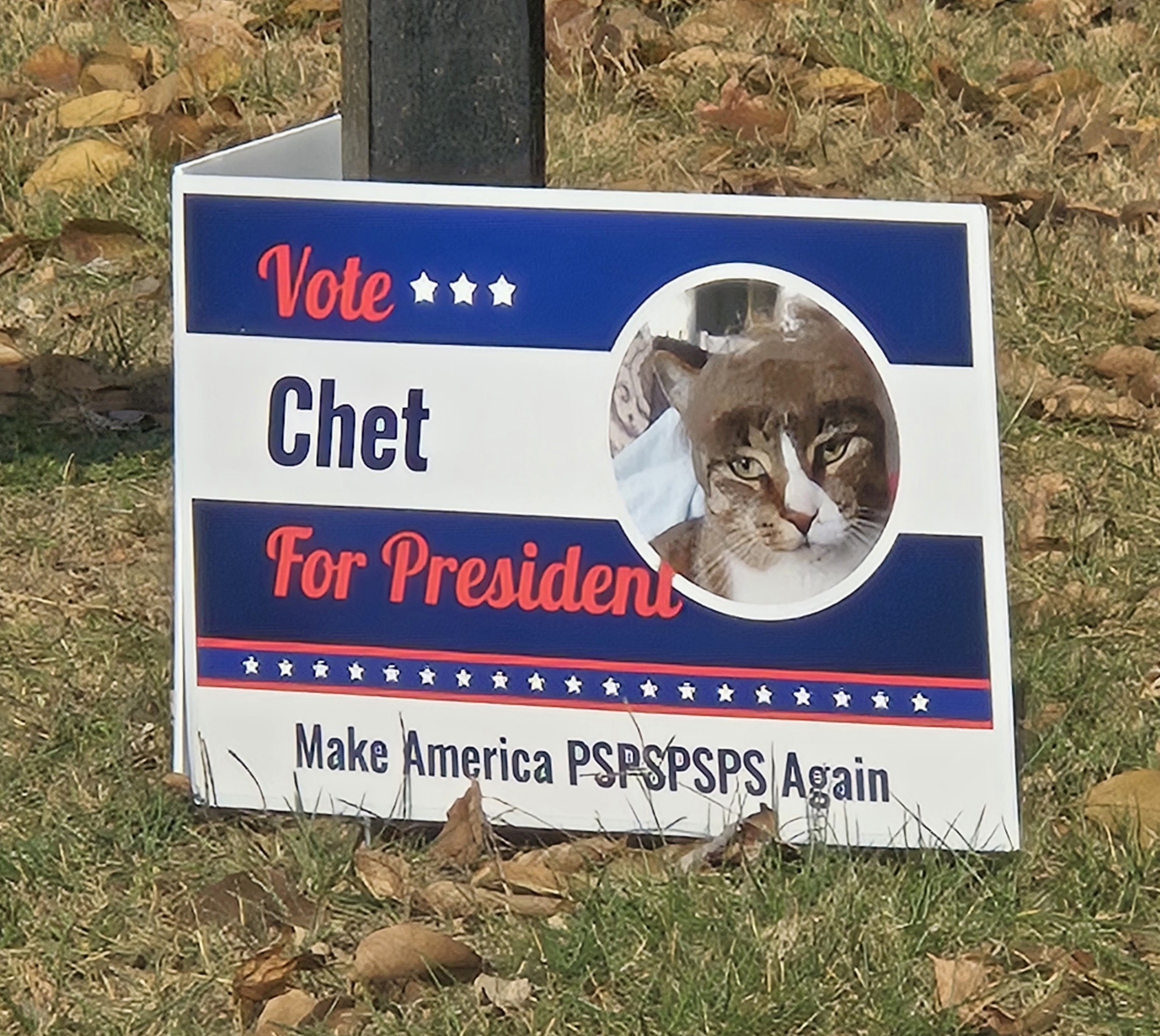 Curious About This Candidate's Stance on Key Issues?