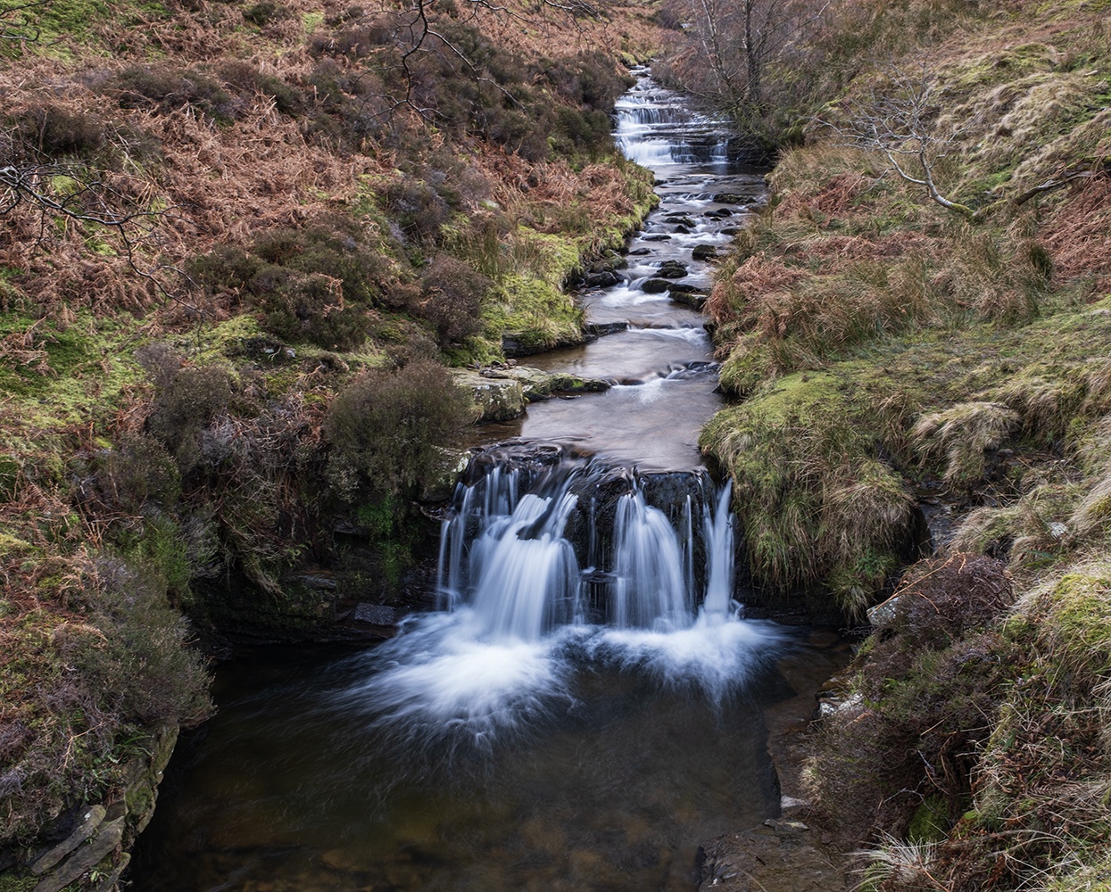 A Serene View of Fair Brook