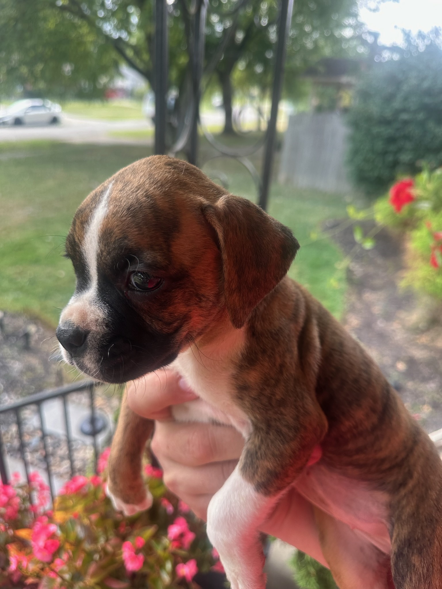 The first two months with Mocha: a delightful adventure!