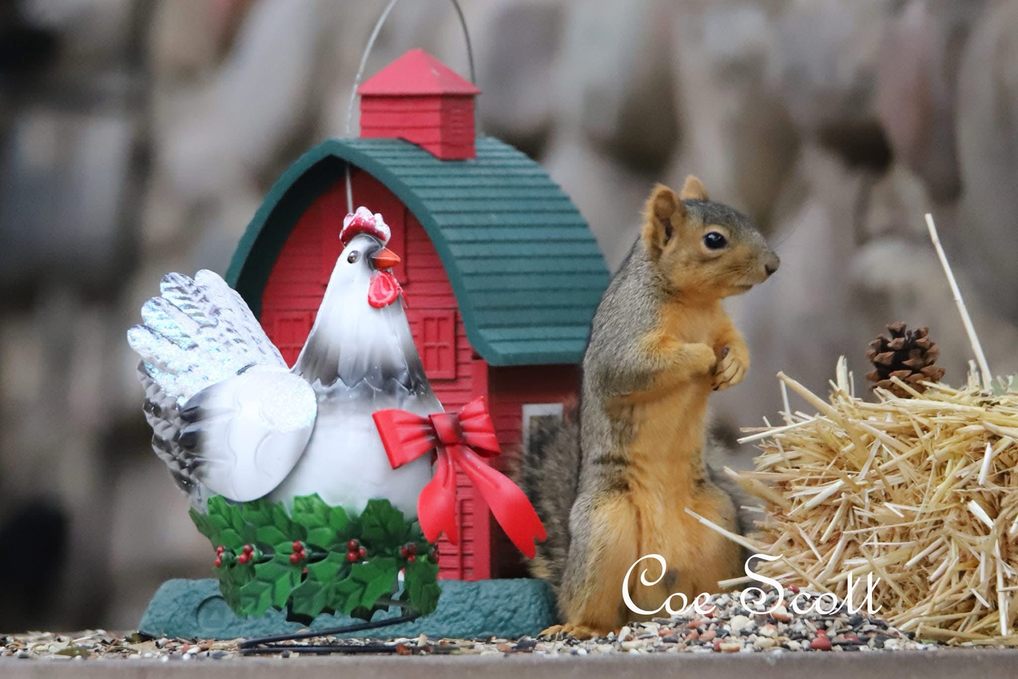 The Anticipation of Santa's Arrival
