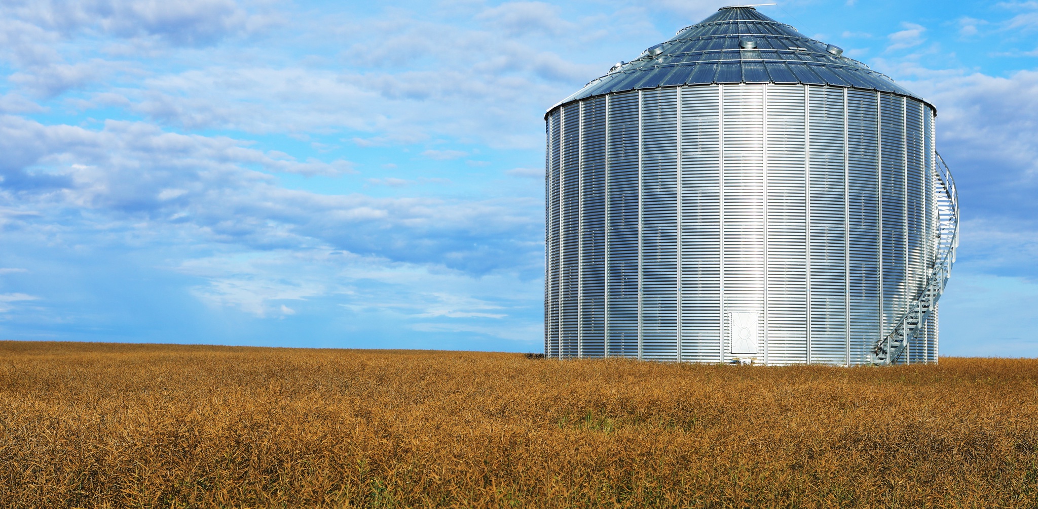 The Mighty Large Grain Bin