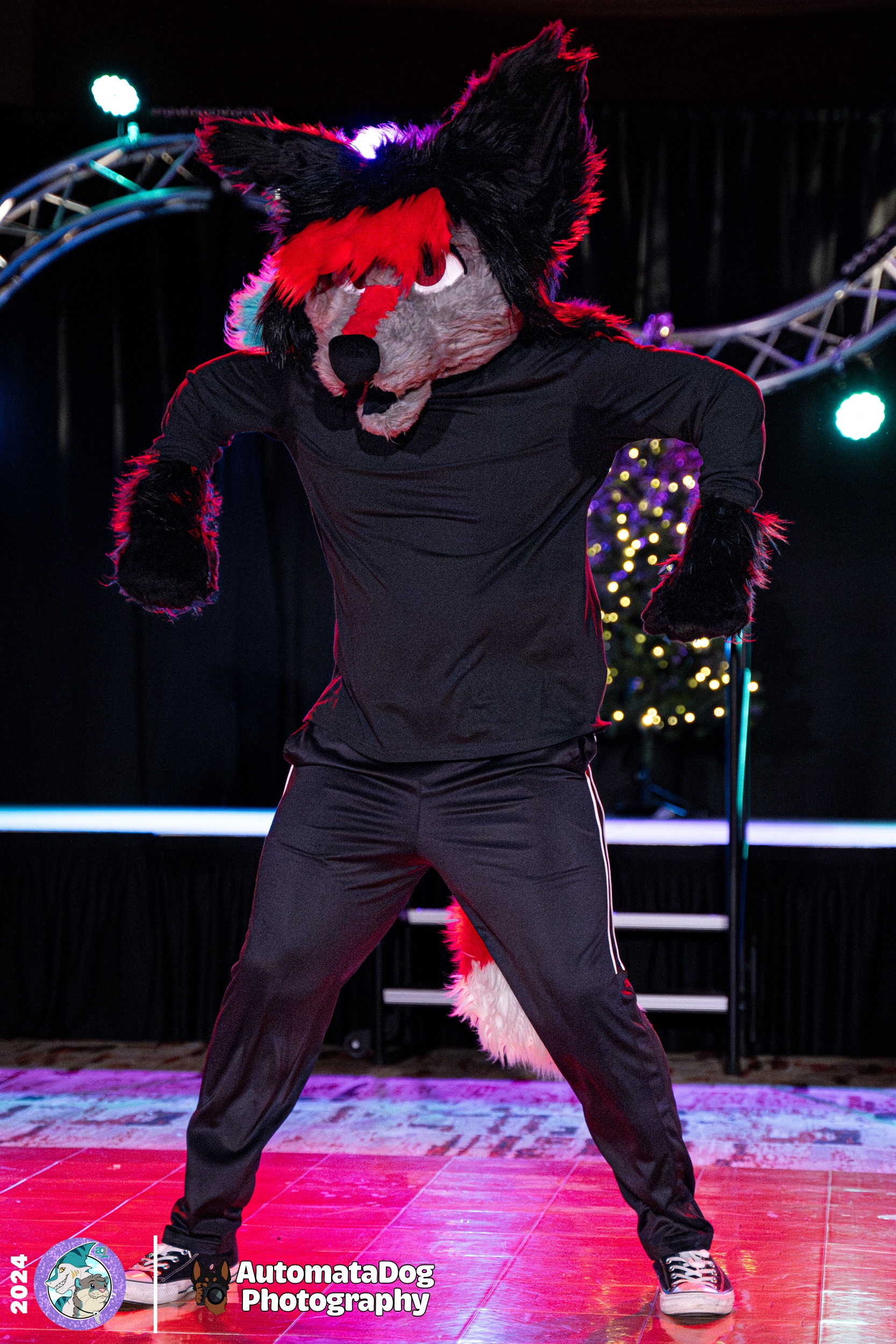 A Daily Snapshot from a Furry Photographer - Day 438