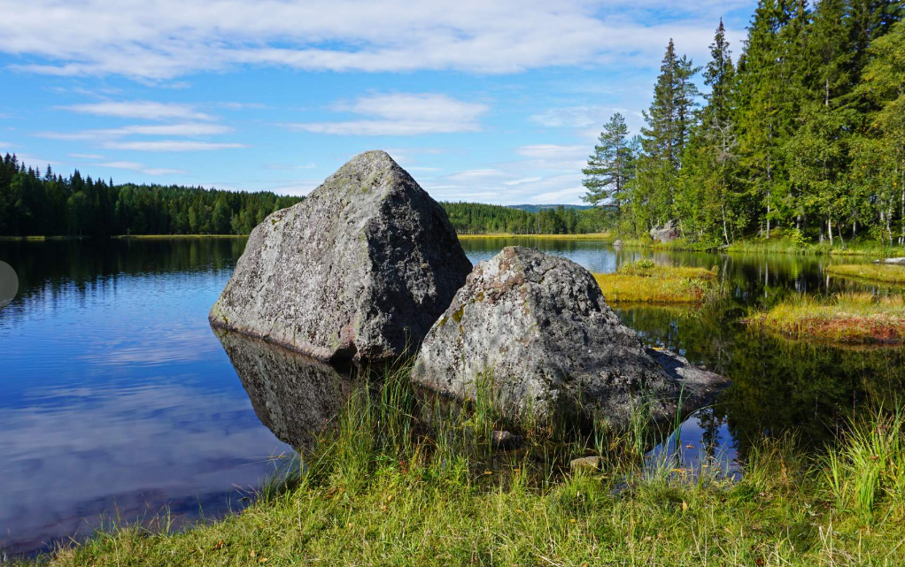 Wandering Through Nordmarka: A Nature Lover's Paradise
