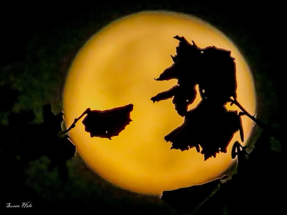 Is That a Witch on a Broomstick?